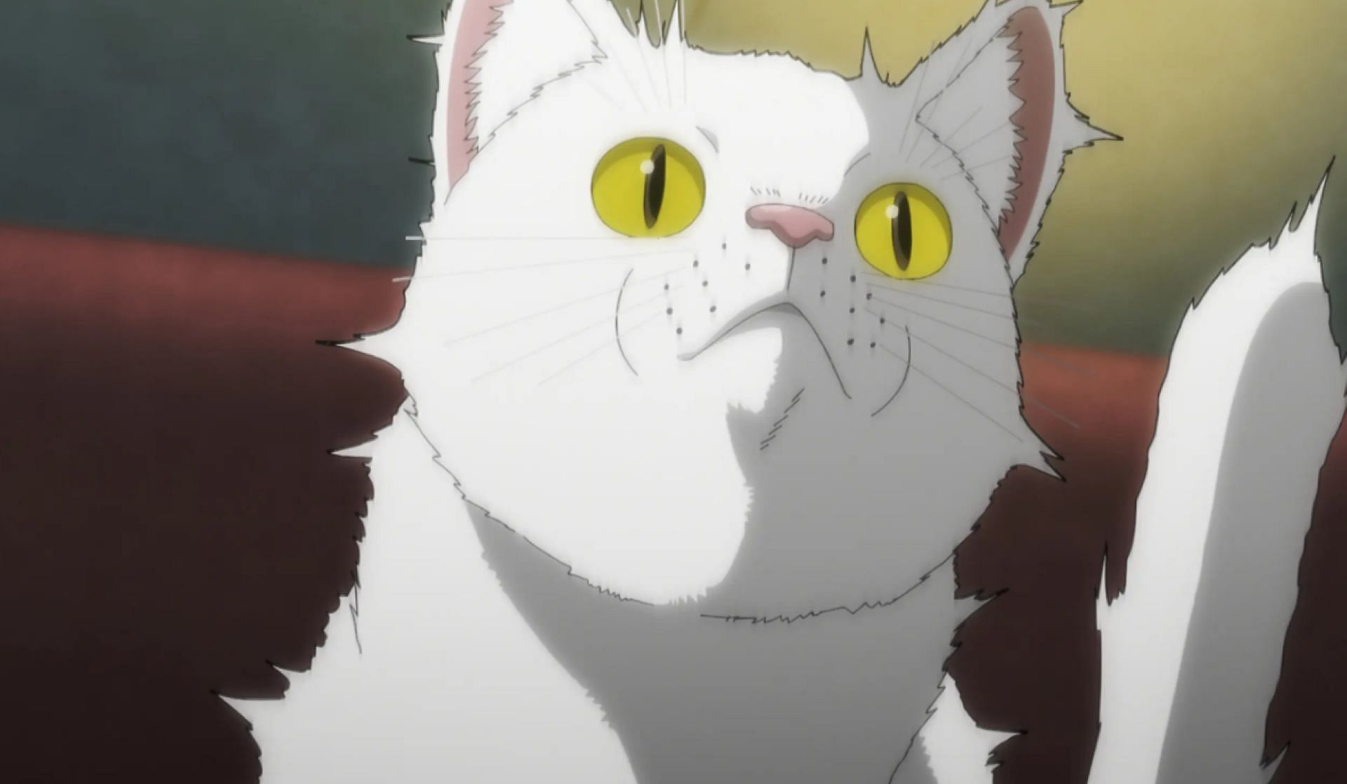A cat, as seen in the anime (Image via OLM)